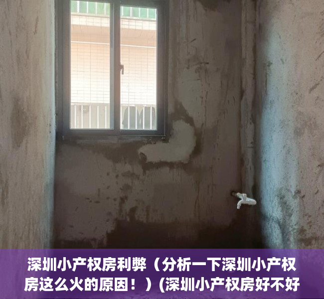 深圳小产权房利弊（分析一下深圳小产权房这么火的原因！）(深圳小产权房好不好)