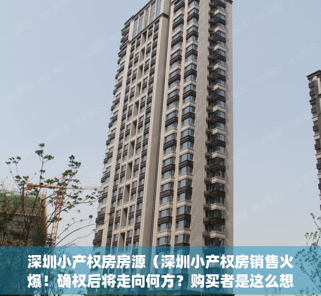 深圳小产权房房源（深圳小产权房销售火爆！确权后将走向何方？购买者是这么想的……）