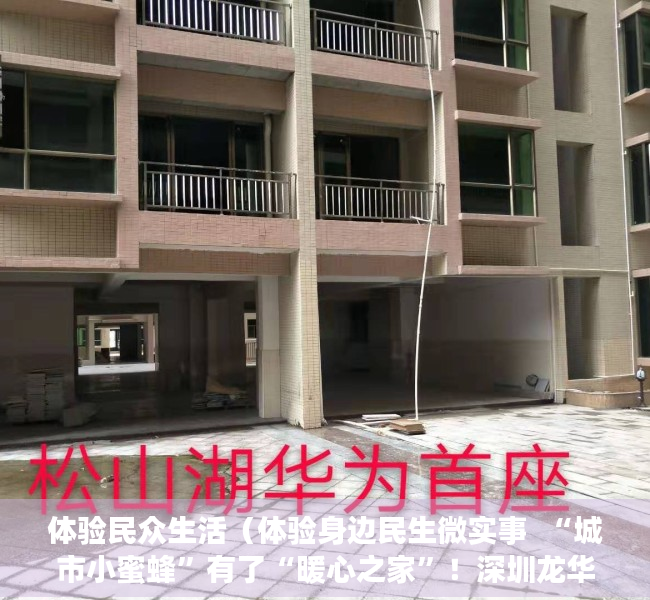 体验民众生活（体验身边民生微实事  “城市小蜜蜂”有了“暖心之家”！深圳龙华关心关爱新就业群体）