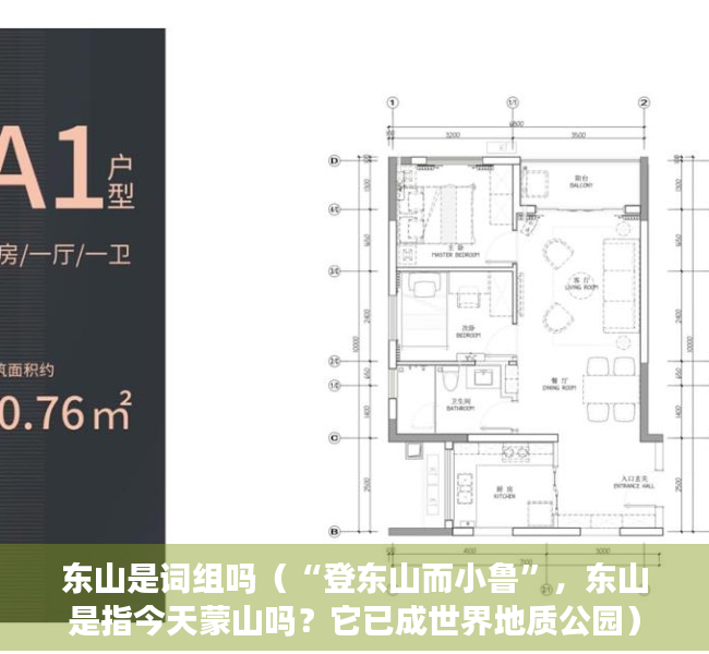 东山是词组吗（“登东山而小鲁”，东山是指今天蒙山吗？它已成世界地质公园）