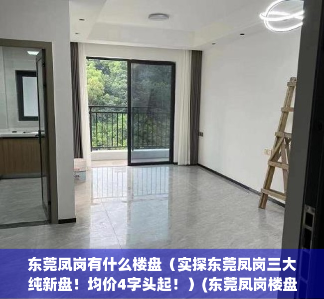 东莞凤岗有什么楼盘（实探东莞凤岗三大纯新盘！均价4字头起！）(东莞凤岗楼盘地图)