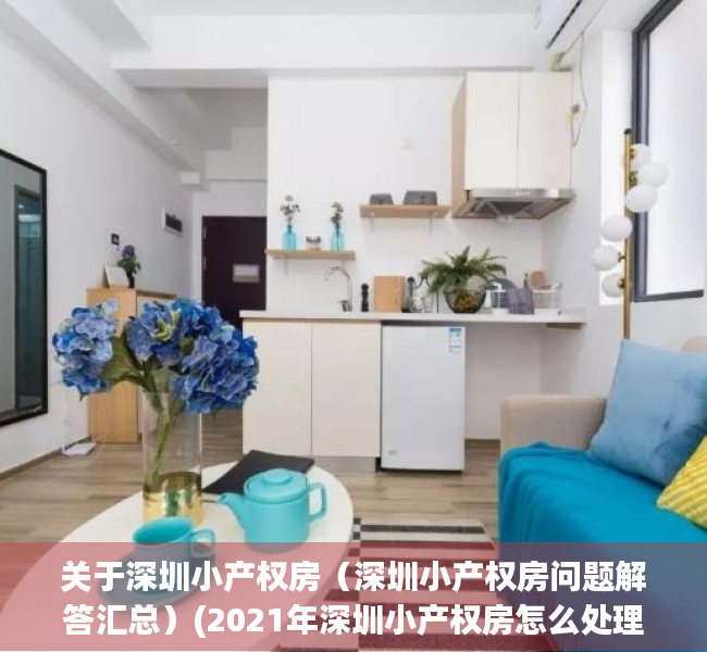 关于深圳小产权房（深圳小产权房问题解答汇总）(2021年深圳小产权房怎么处理)