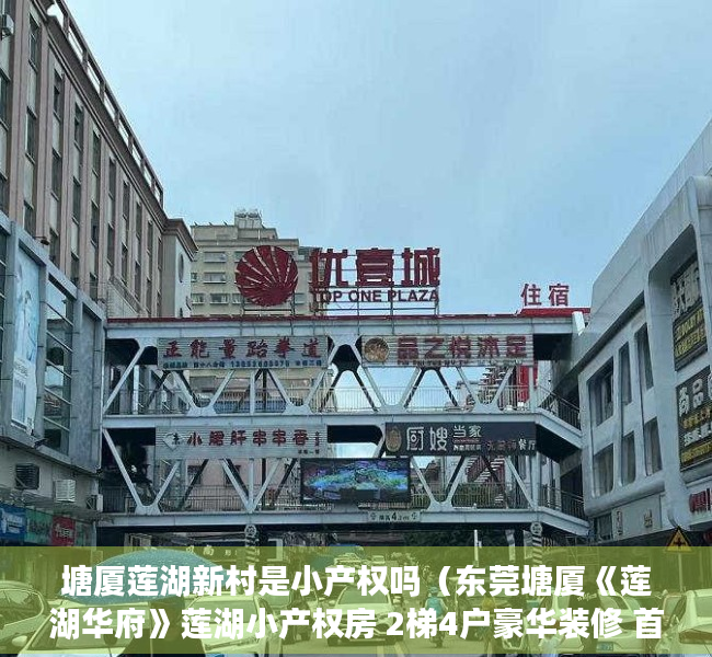 塘厦莲湖新村是小产权吗（东莞塘厦《莲湖华府》莲湖小产权房 2梯4户豪华装修 首付10W买大三房）