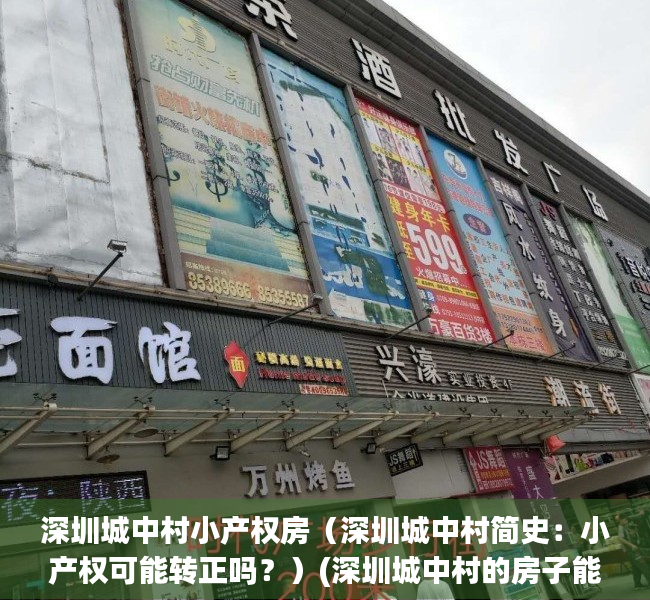 深圳城中村小产权房（深圳城中村简史：小产权可能转正吗？）(深圳城中村的房子能买吗)