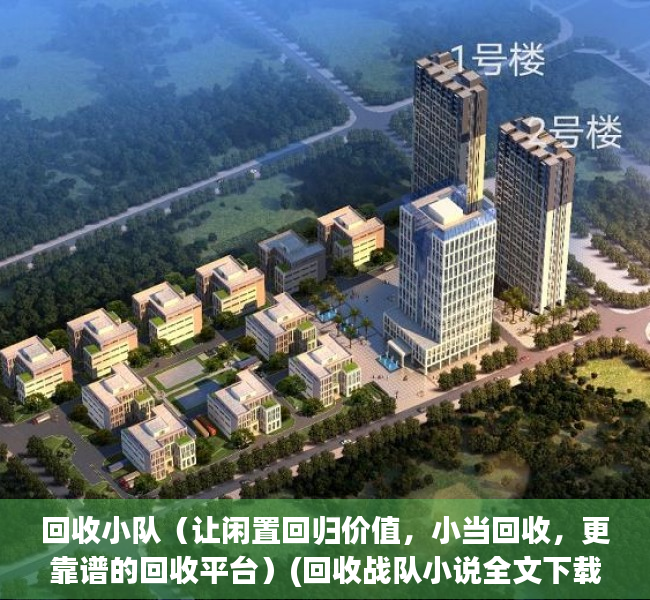 回收小队（让闲置回归价值，小当回收，更靠谱的回收平台）(回收战队小说全文下载)