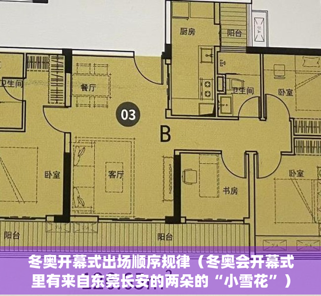 冬奥开幕式出场顺序规律（冬奥会开幕式里有来自东莞长安的两朵的“小雪花”）