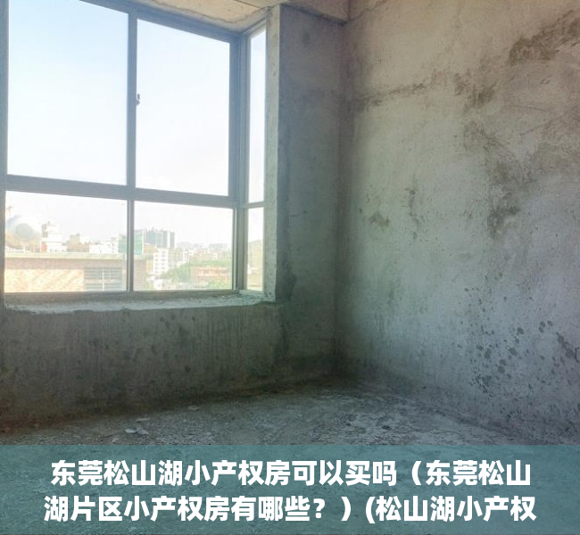 东莞松山湖小产权房可以买吗（东莞松山湖片区小产权房有哪些？）(松山湖小产权房最新开盘)