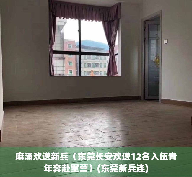 麻涌欢送新兵（东莞长安欢送12名入伍青年奔赴军营）(东莞新兵连)