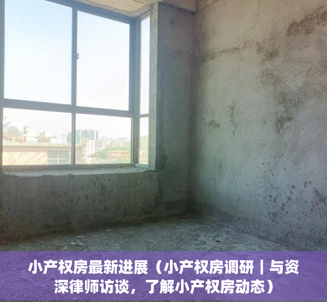 小产权房最新进展（小产权房调研｜与资深律师访谈，了解小产权房动态）