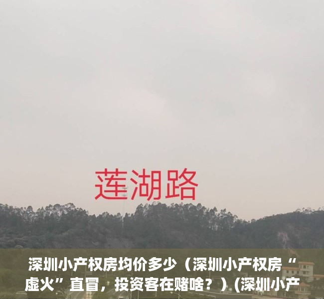 深圳小产权房均价多少（深圳小产权房“虚火”直冒，投资客在赌啥？）(深圳小产权房价多少钱一平方)