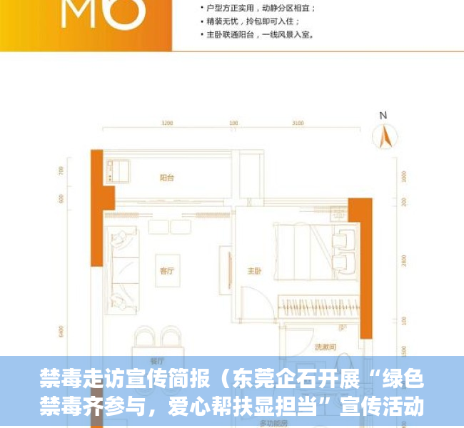禁毒走访宣传简报（东莞企石开展“绿色禁毒齐参与，爱心帮扶显担当”宣传活动）