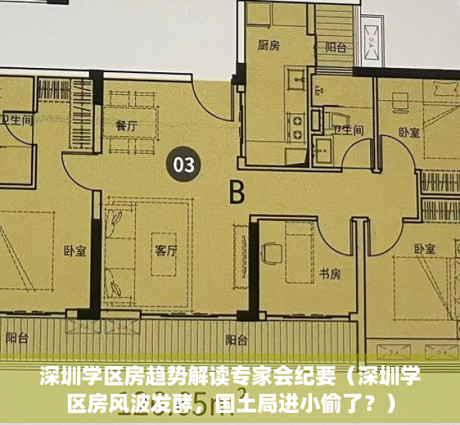 深圳学区房趋势解读专家会纪要（深圳学区房风波发酵，国土局进小偷了？）