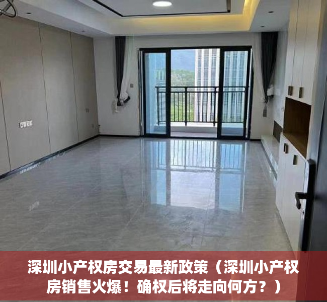 深圳小产权房交易最新政策（深圳小产权房销售火爆！确权后将走向何方？）