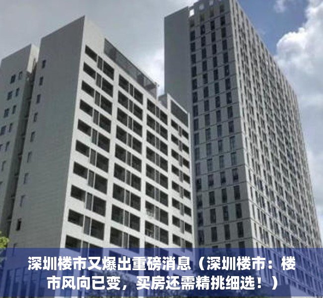 深圳楼市又爆出重磅消息（深圳楼市：楼市风向已变，买房还需精挑细选！）
