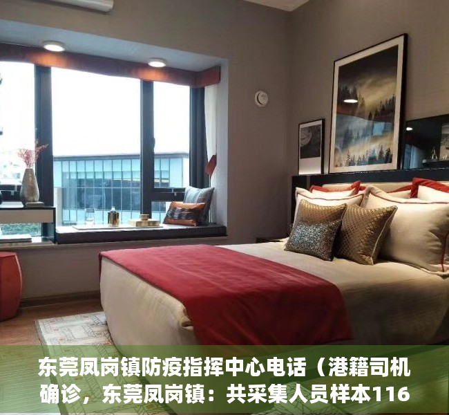 东莞凤岗镇防疫指挥中心电话（港籍司机确诊，东莞凤岗镇：共采集人员样本1169份、环境样本101份，核酸检测结果均为阴性）