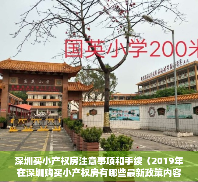 深圳买小产权房注意事项和手续（2019年在深圳购买小产权房有哪些最新政策内容？）