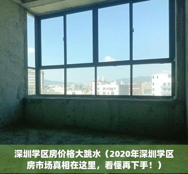 深圳学区房价格大跳水（2020年深圳学区房市场真相在这里，看懂再下手！）