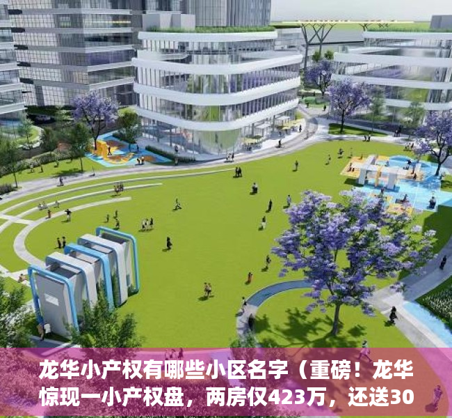 龙华小产权有哪些小区名字（重磅！龙华惊现一小产权盘，两房仅423万，还送3000㎡的豪华装修）