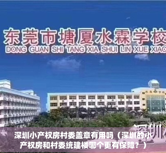 深圳小产权房村委盖章有用吗（深圳的小产权房和村委统建楼哪个更有保障？）