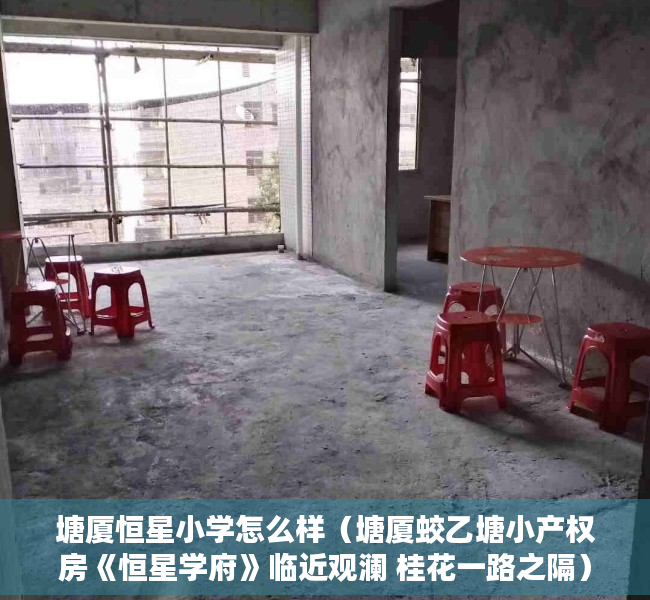 塘厦恒星小学怎么样（塘厦蛟乙塘小产权房《恒星学府》临近观澜 桂花一路之隔）