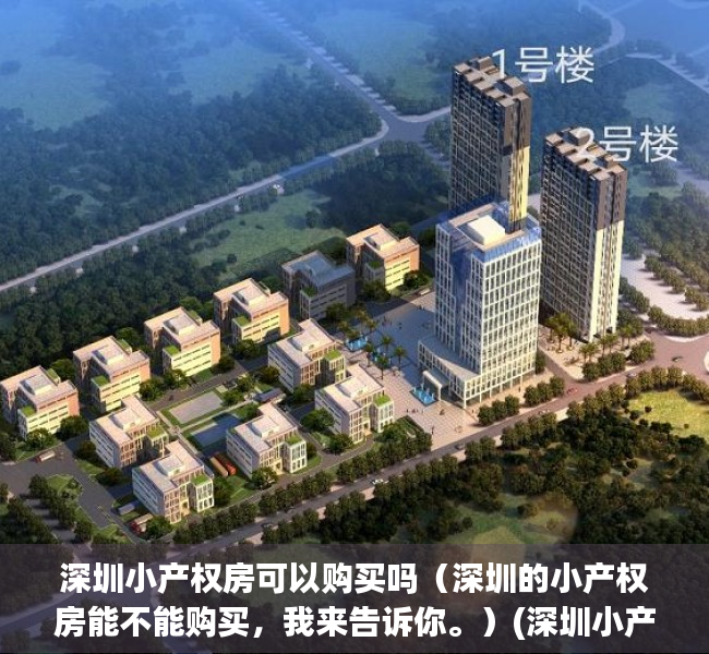 深圳小产权房可以购买吗（深圳的小产权房能不能购买，我来告诉你。）(深圳小产权的房子能买吗,自己住有保障吗?)