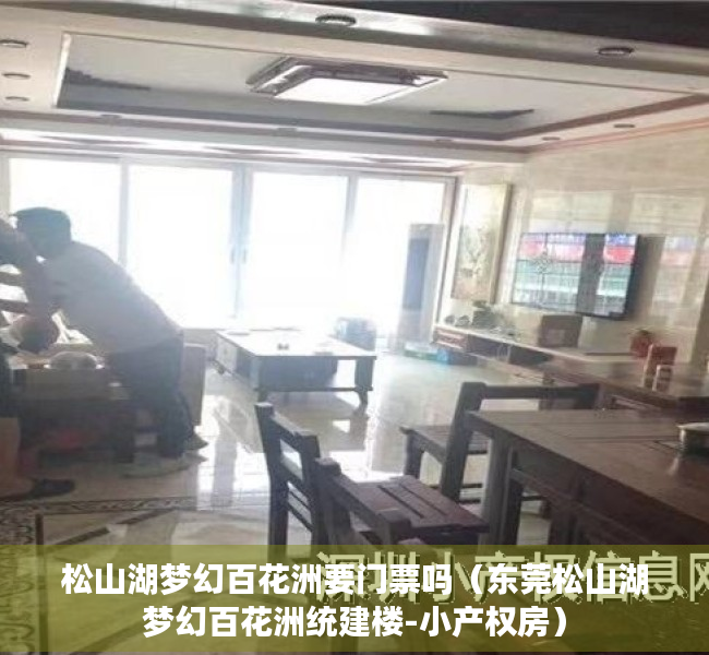 松山湖梦幻百花洲要门票吗（东莞松山湖梦幻百花洲统建楼-小产权房）