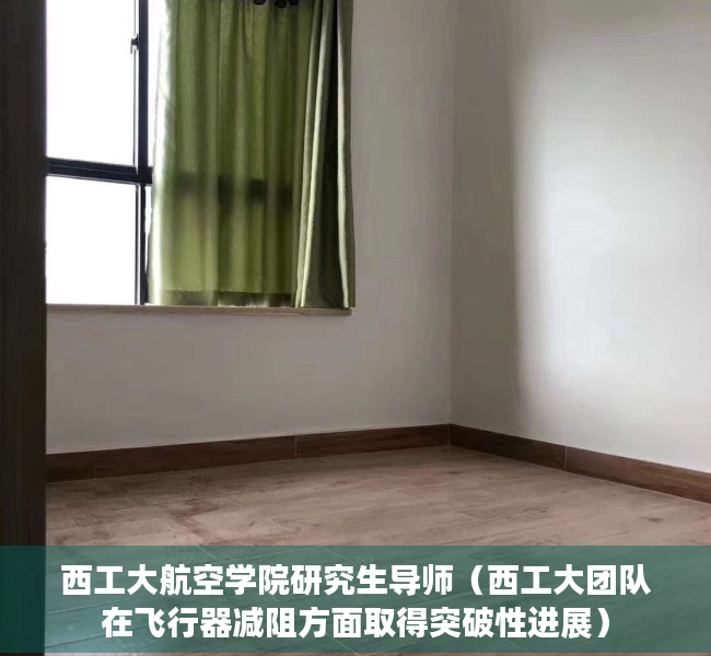 西工大航空学院研究生导师（西工大团队在飞行器减阻方面取得突破性进展）
