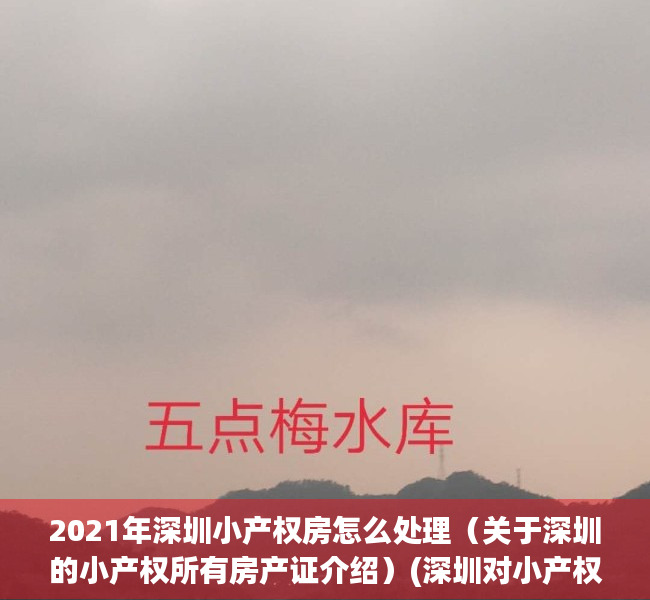 2021年深圳小产权房怎么处理（关于深圳的小产权所有房产证介绍）(深圳对小产权房的处理办法)