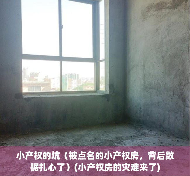 小产权的坑（被点名的小产权房，背后数据扎心了）(小产权房的灾难来了)