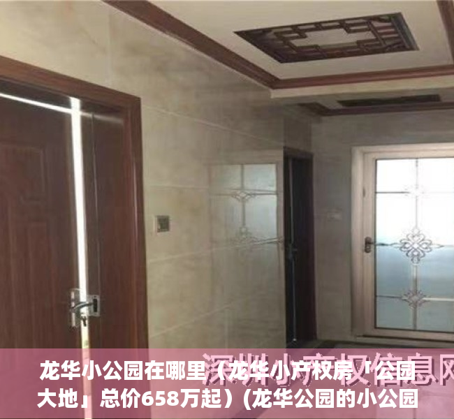 龙华小公园在哪里（龙华小产权房「公园大地」总价658万起）(龙华公园的小公园在哪里)