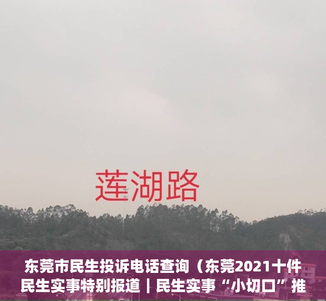 东莞市民生投诉电话查询（东莞2021十件民生实事特别报道｜民生实事“小切口”推动医疗卫生大发展）