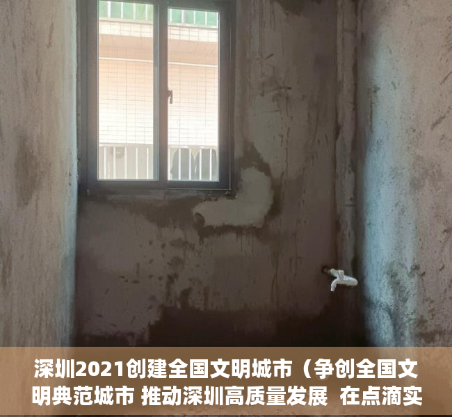 深圳2021创建全国文明城市（争创全国文明典范城市 推动深圳高质量发展  在点滴实践中感受“首善文明”新气象）