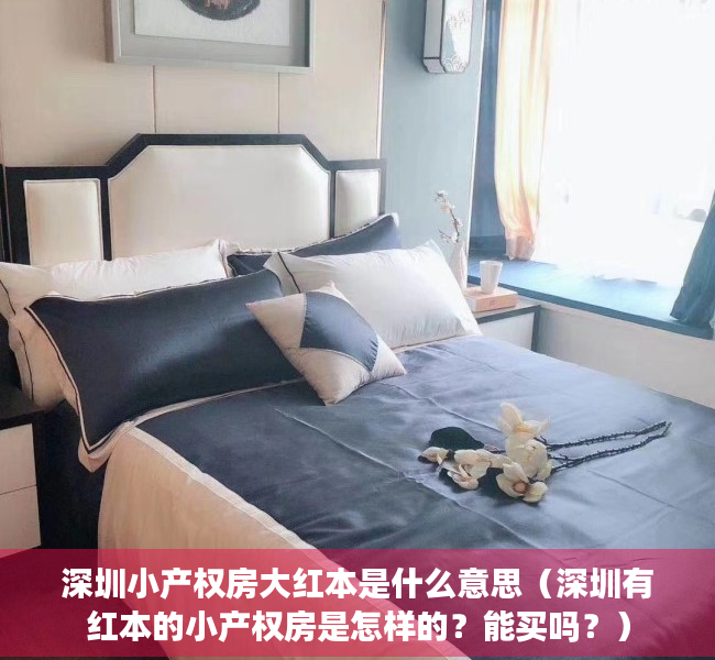 深圳小产权房大红本是什么意思（深圳有红本的小产权房是怎样的？能买吗？）