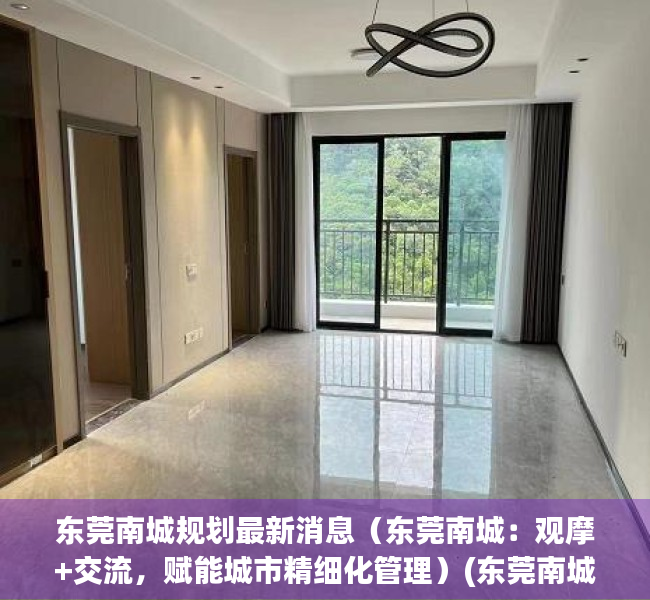 东莞南城规划最新消息（东莞南城：观摩+交流，赋能城市精细化管理）(东莞南城规划图)