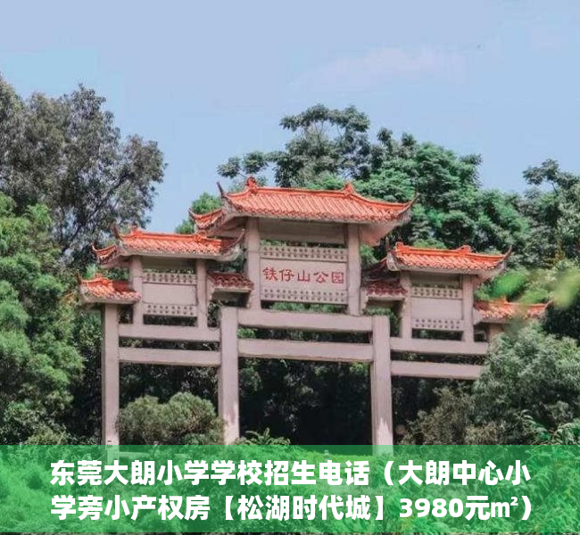 东莞大朗小学学校招生电话（大朗中心小学旁小产权房【松湖时代城】3980元㎡）