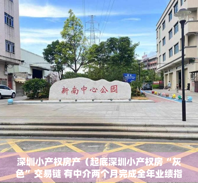 深圳小产权房产（起底深圳小产权房“灰色”交易链 有中介两个月完成全年业绩指标）