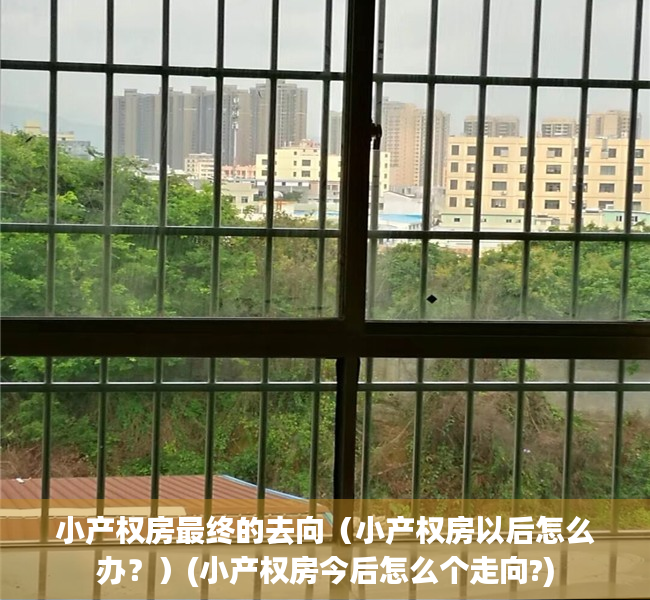 小产权房最终的去向（小产权房以后怎么办？）(小产权房今后怎么个走向?)