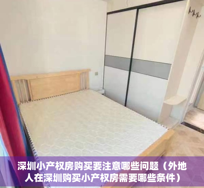 深圳小产权房购买要注意哪些问题（外地人在深圳购买小产权房需要哪些条件）