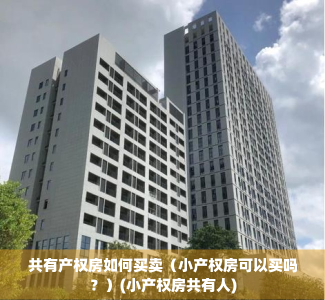共有产权房如何买卖（小产权房可以买吗？）(小产权房共有人)