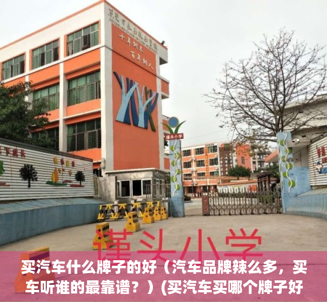 买汽车什么牌子的好（汽车品牌辣么多，买车听谁的最靠谱？）(买汽车买哪个牌子好)