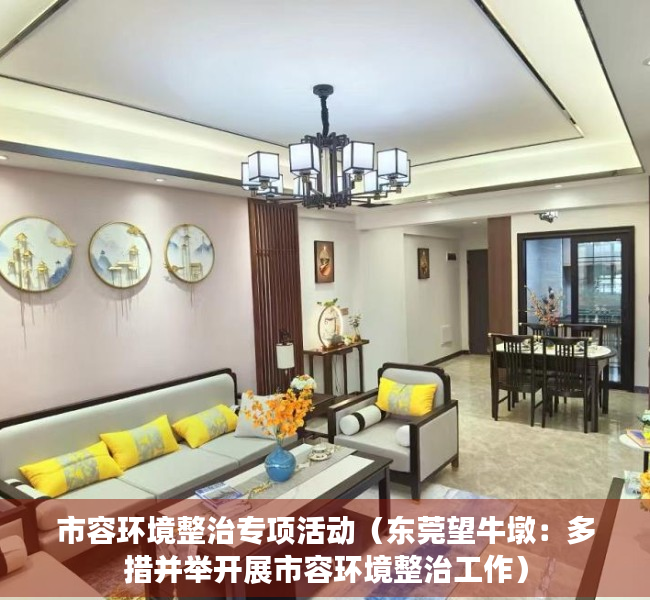 市容环境整治专项活动（东莞望牛墩：多措并举开展市容环境整治工作）