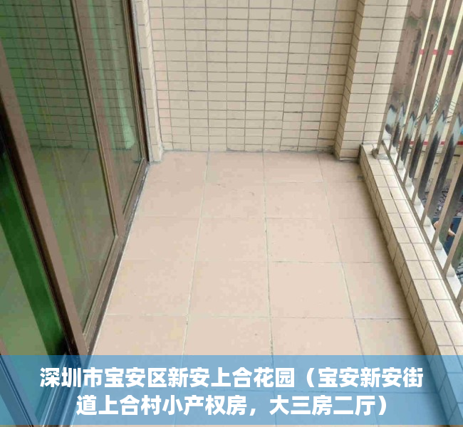 深圳市宝安区新安上合花园（宝安新安街道上合村小产权房，大三房二厅）
