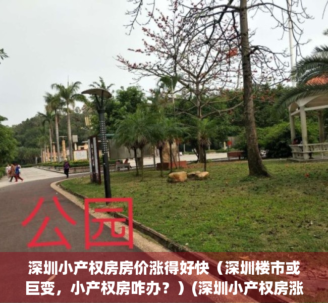 深圳小产权房房价涨得好快（深圳楼市或巨变，小产权房咋办？）(深圳小产权房涨幅最高达50%)