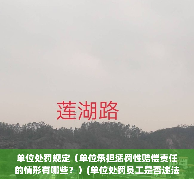 单位处罚规定（单位承担惩罚性赔偿责任的情形有哪些？）(单位处罚员工是否违法)