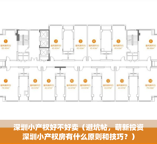 深圳小产权好不好卖（避坑帖，萌新投资深圳小产权房有什么原则和技巧？）