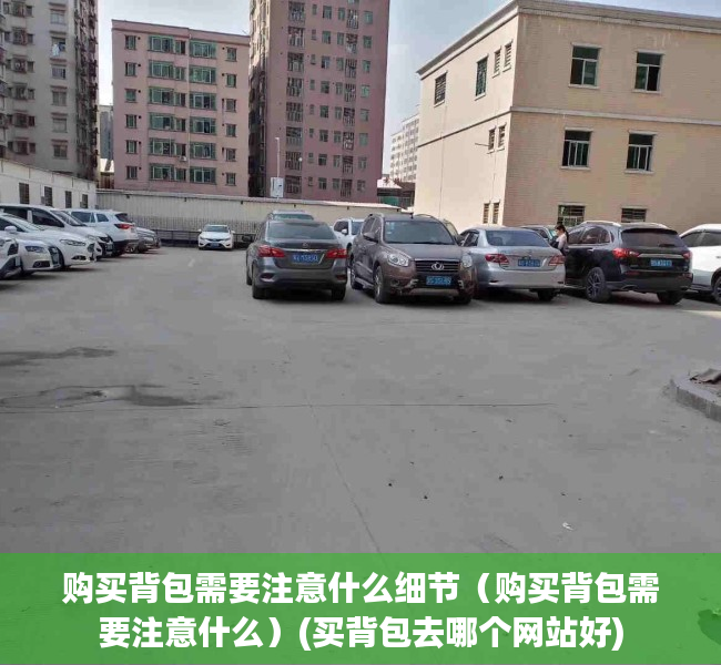 购买背包需要注意什么细节（购买背包需要注意什么）(买背包去哪个网站好)
