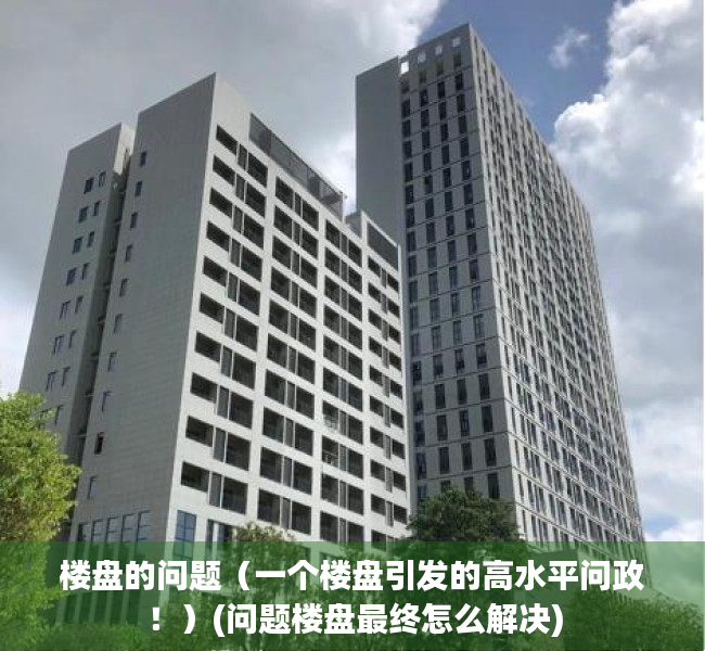 楼盘的问题（一个楼盘引发的高水平问政！）(问题楼盘最终怎么解决)