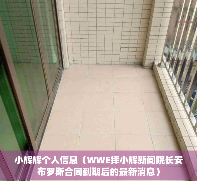 小辉辉个人信息（WWE摔小辉新闻院长安布罗斯合同到期后的最新消息）