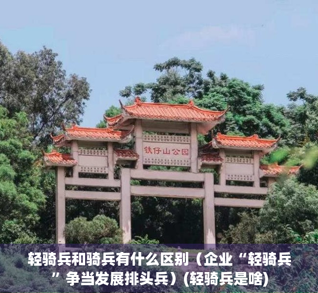 轻骑兵和骑兵有什么区别（企业“轻骑兵”争当发展排头兵）(轻骑兵是啥)