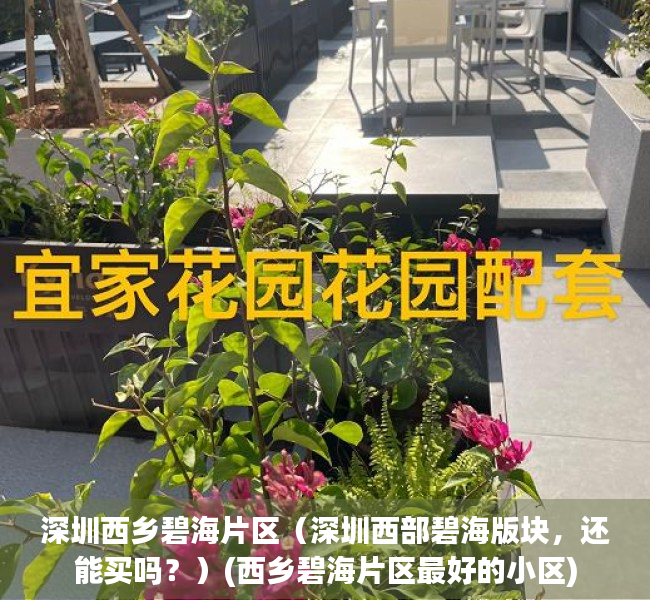 深圳西乡碧海片区（深圳西部碧海版块，还能买吗？）(西乡碧海片区最好的小区)